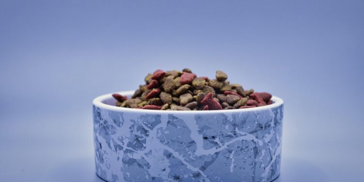 Shedding Pounds: The Best Cat Food for Healthy Weight Loss