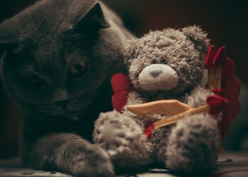 Top 10 Safe Toys for Kittens That Guarantee Enthralling Playtime