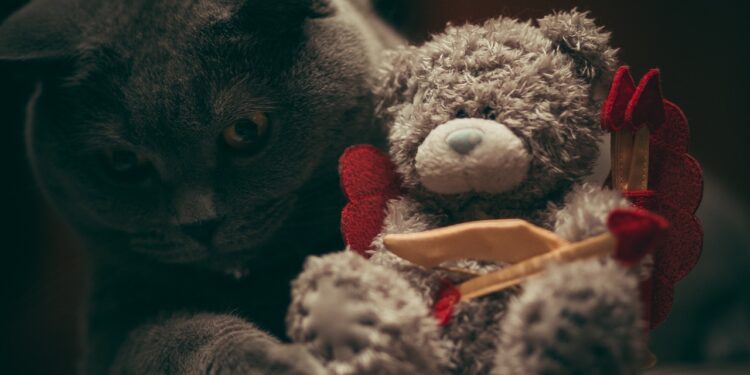 Top 10 Safe Toys for Kittens That Guarantee Enthralling Playtime