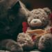 Top 10 Safe Toys for Kittens That Guarantee Enthralling Playtime