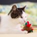 Discover the Best Solo Play Cat Toys to Keep Your Feline Friends Entertained