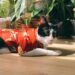 Keep Your Feline Friend Cozy: Top Picks for Warm Sweaters for Cats