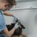 Unlocking the Secrets to Cat Dental Wellness: Essential Tips for a Healthy Mouth